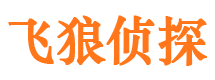 上甘岭侦探社